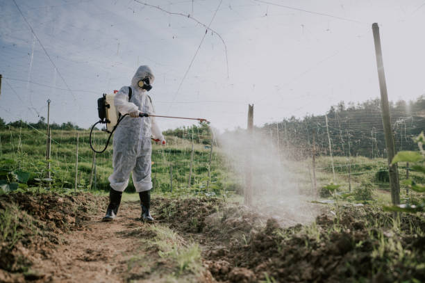 Best Best Pest Control Companies  in Tuskegee, AL