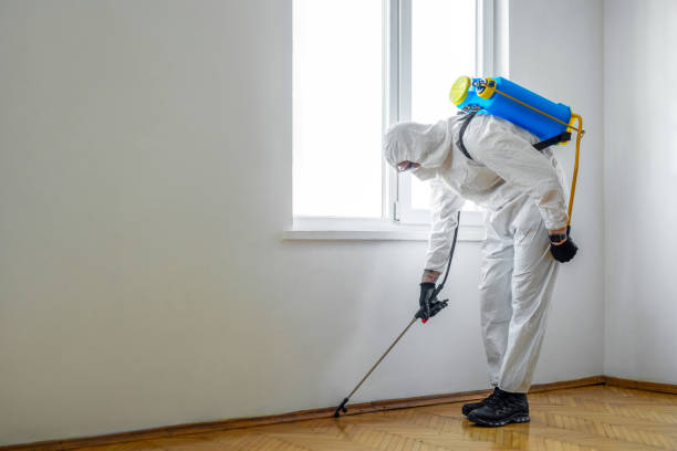 Best Flea Control Services  in Tuskegee, AL