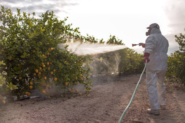 Best Affordable Pest Control Services  in Tuskegee, AL