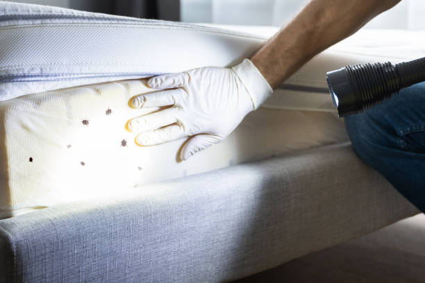Best Pest Control Treatment  in Tuskegee, AL
