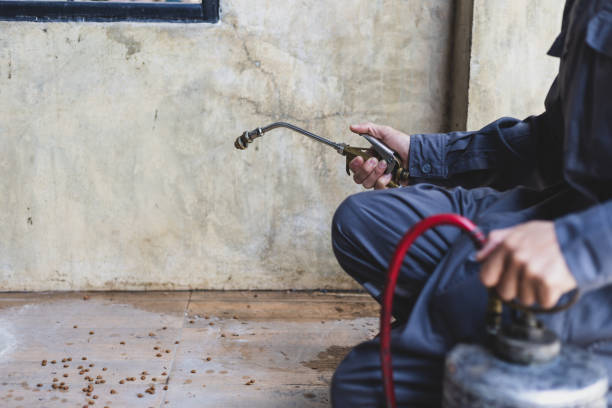 Best Ant Control Services  in Tuskegee, AL
